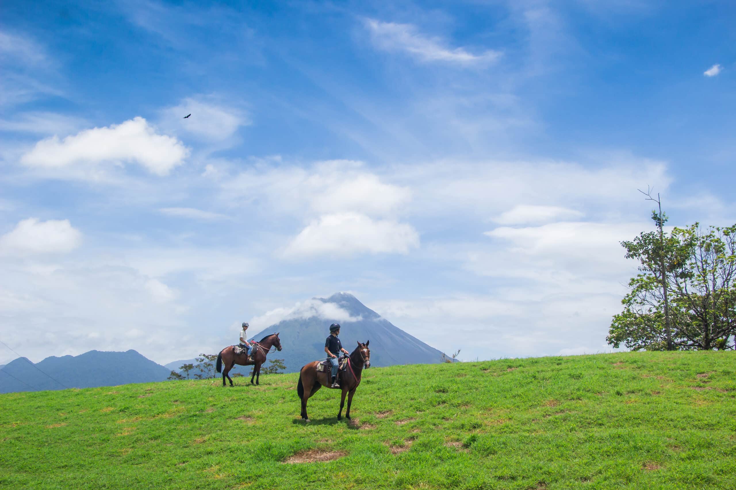 Read more about the article På rejse med hesten i Costa Rica