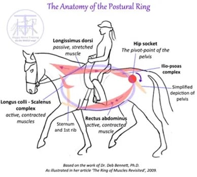 Evaluate Movement